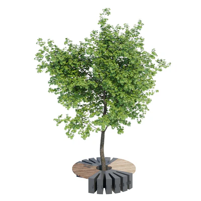 Round B — Вид 6