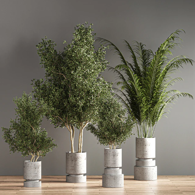 indoor plant set 14 — Скачать