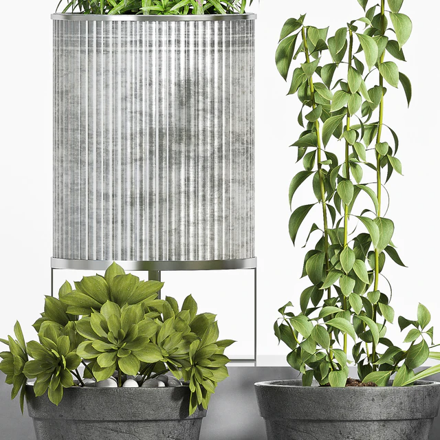 plant set-105 — Скачать
