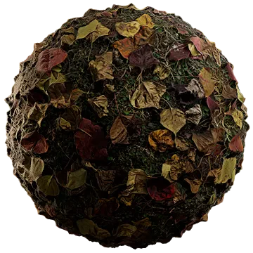 fallen leaves 023 — Descargar