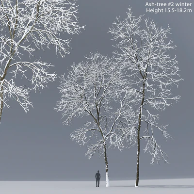 Winter Ash — Ver 1