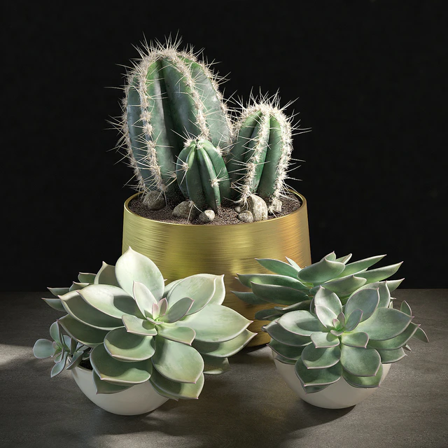 Set of plants 01 — Скачать