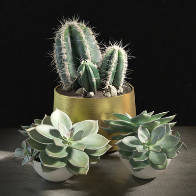 Set of plants 01 — Вид 1