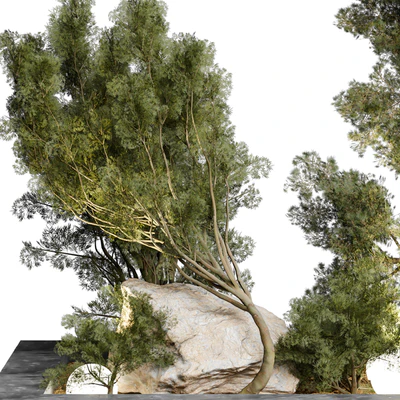 Outdoor Plant 65 — Ver 4