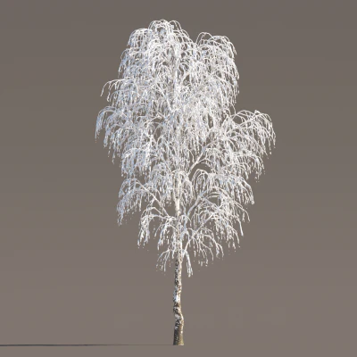 046 winter — Скачать