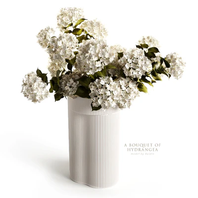 A bouquet of hydrangea 2 — Ver 3