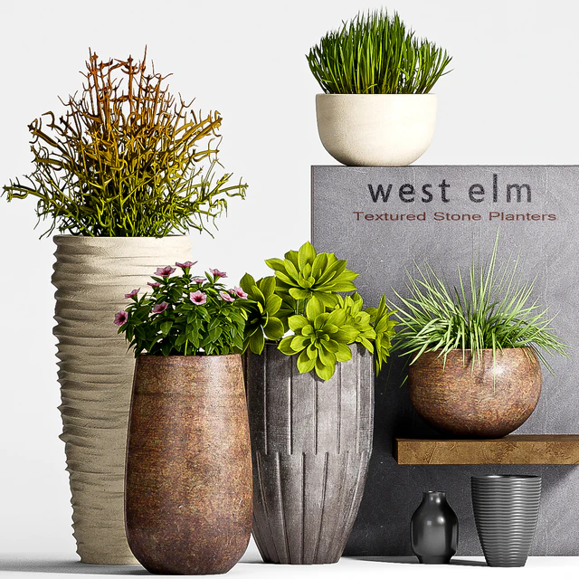 PLANT SET -63 — Descargar