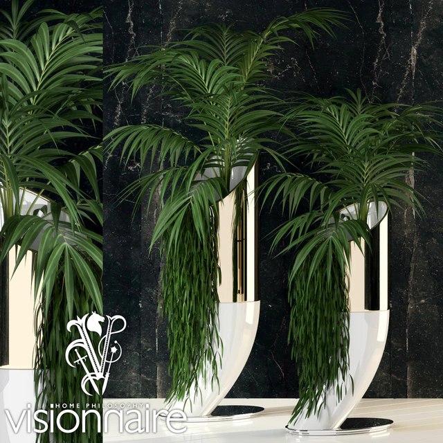 Visionnaire Arcadia IPE Cavalli — Скачать