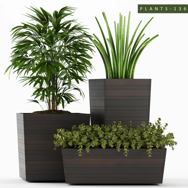 PLANTS 136 — Скачать