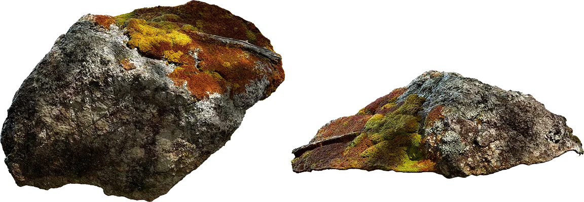 lichen rock 002 — Descargar