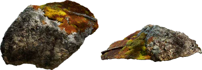 lichen rock 002 — Descargar