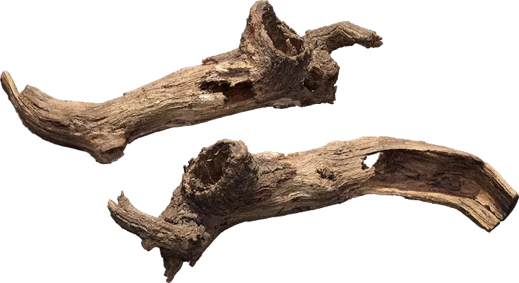 old tree branch 011 — Скачать