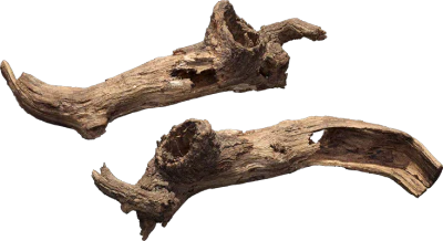 old tree branch 011 — Скачать