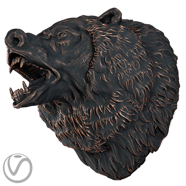The head of a bear — Descargar