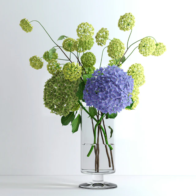 Hydrangeas and Viburnum — Download