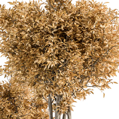 Outdoor Plant Set 322- Autumn Plant and Tree Set — Ver 5