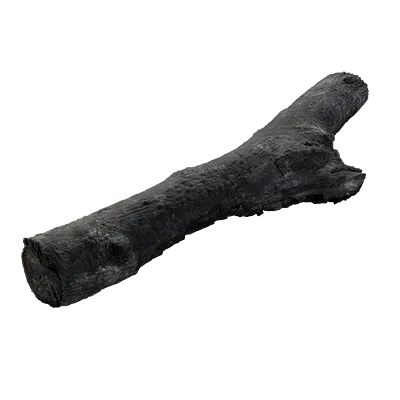 burnt firewood 004 — Скачать
