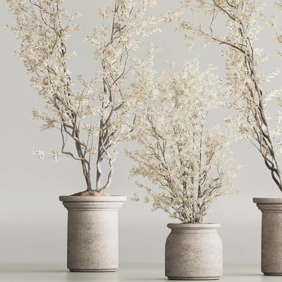Indoor Plant Set 81 Dry Plants — Ver 6