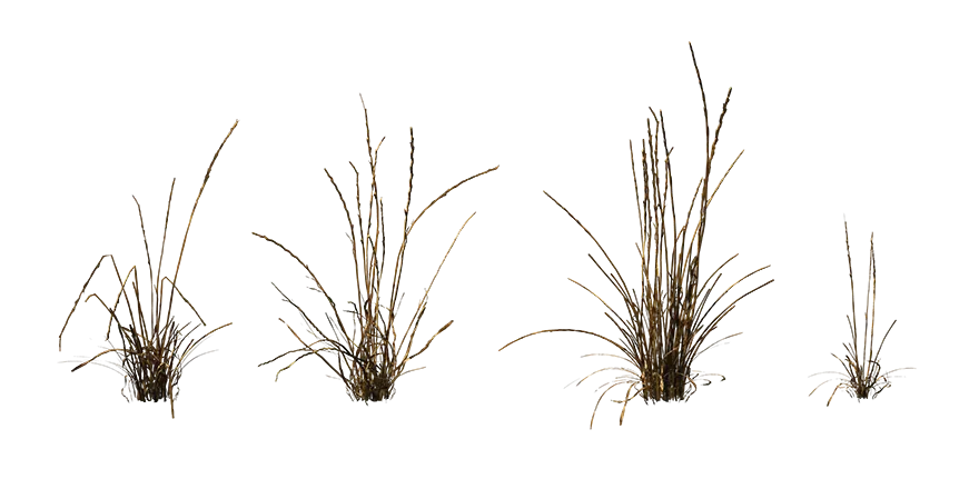 grass 006 — Скачать