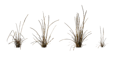 grass 006 — Скачать