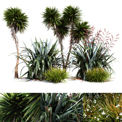 Oceania Plant Set — Вид 1