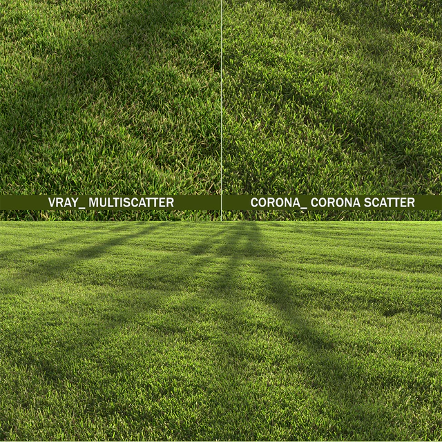 Lawn landscape — Скачать