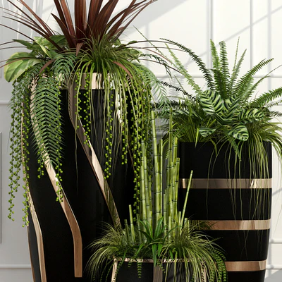 Room plants 15 — Ver 3