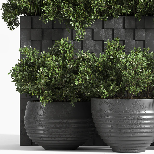 outdoor plant collection Box — Descargar
