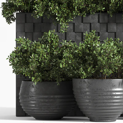 outdoor plant collection Box — Ver 4