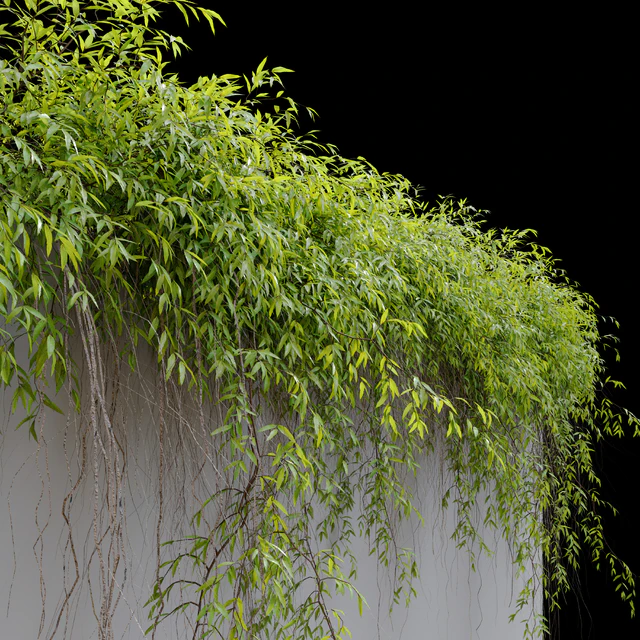 Hanging Plant 25 — Descargar