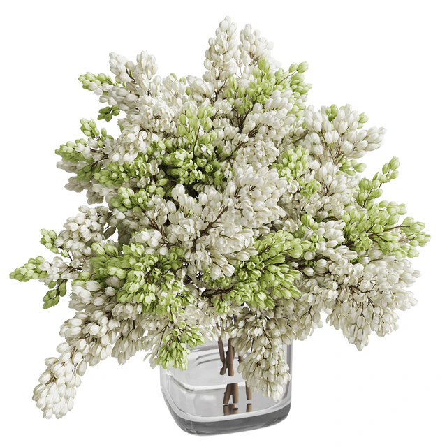 Bouquet 022 — Скачать
