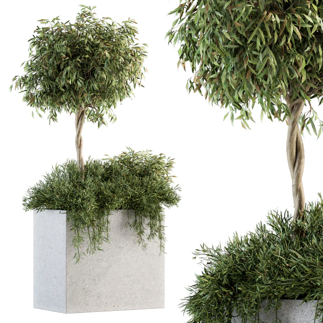 Outdoor Plant Set 172 - Plant Box tree — Скачать