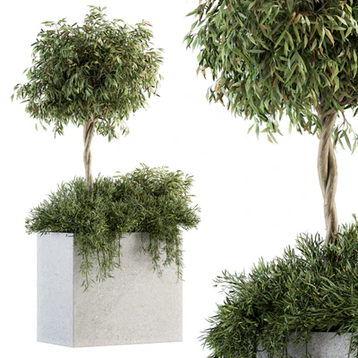 Outdoor Plant Set 172 - Plant Box tree — Вид 1