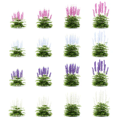 Delphinium hybrid flowers | Delphinium hybridum — Ver 5