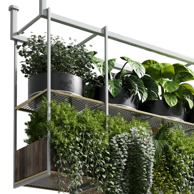 collection Indoor plants hanging pot-metal bax vase 11 — Descargar