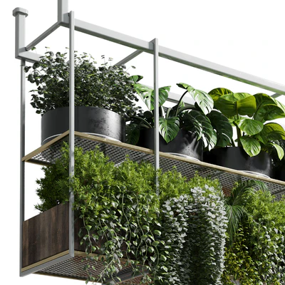 collection Indoor plants hanging pot-metal bax vase 11 — Ver 4