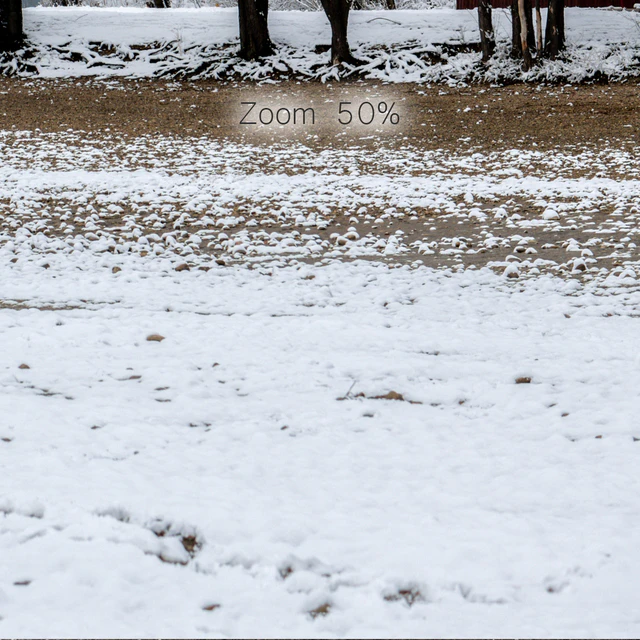Panorama of the park with a lake and snow-covered trees. 46k — Descargar