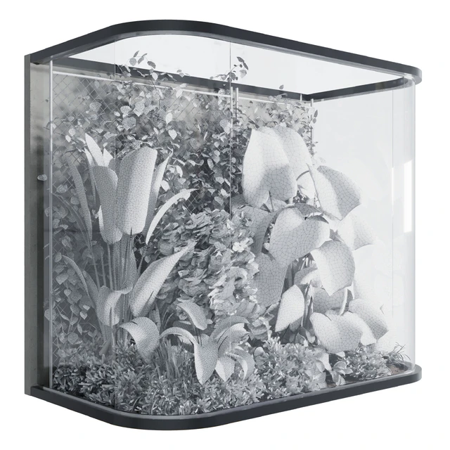 Plants Behind Galss 03 - indoor garden — Descargar
