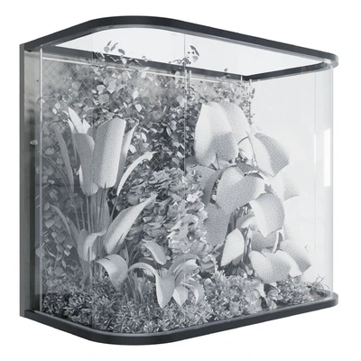 Plants Behind Galss 03 - indoor garden — Ver 3