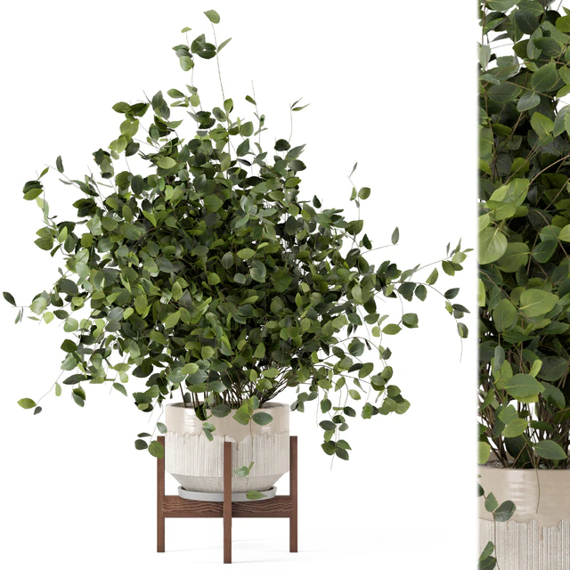 Indoor Plants in rusty Concrete Pot - Set 280 — Скачать
