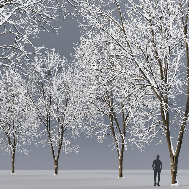 Ash winter — Descargar