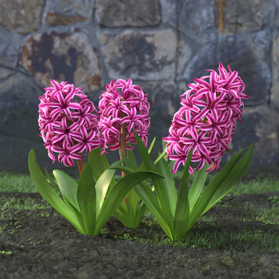 garden flowers 011 — Descargar