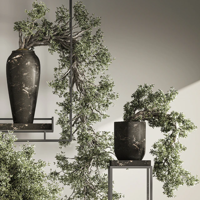 Bonsai and Indoor Plant Set 38 — Скачать
