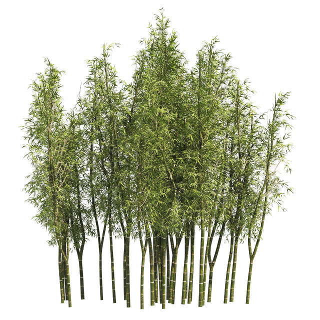 2 Bamboo Clusters — Descargar