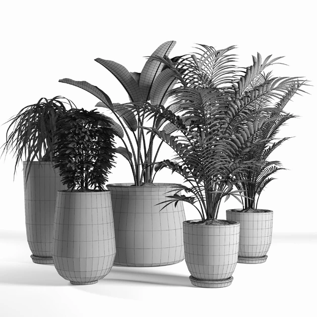 plants set 04 — Descargar