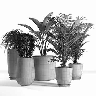 plants set 04 — Ver 5