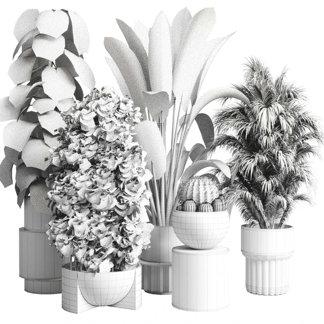 Collection indoor plant 206 plant cactus — Descargar