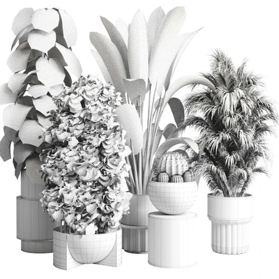 Collection indoor plant 206 plant cactus — Ver 6