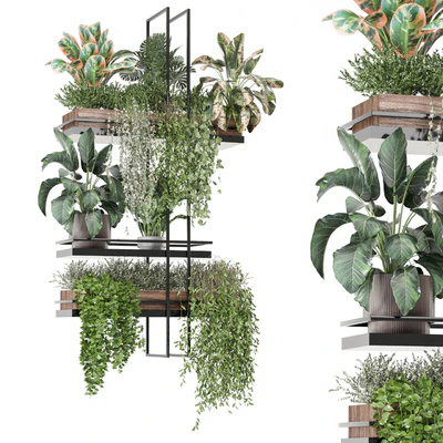 indoor plants in metal box 1580 — Ver 1