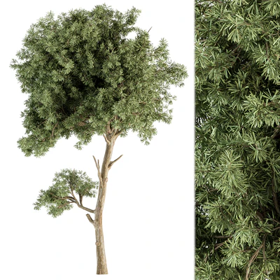 Small Tree Green Maple Needle - Set 71 — Ver 1